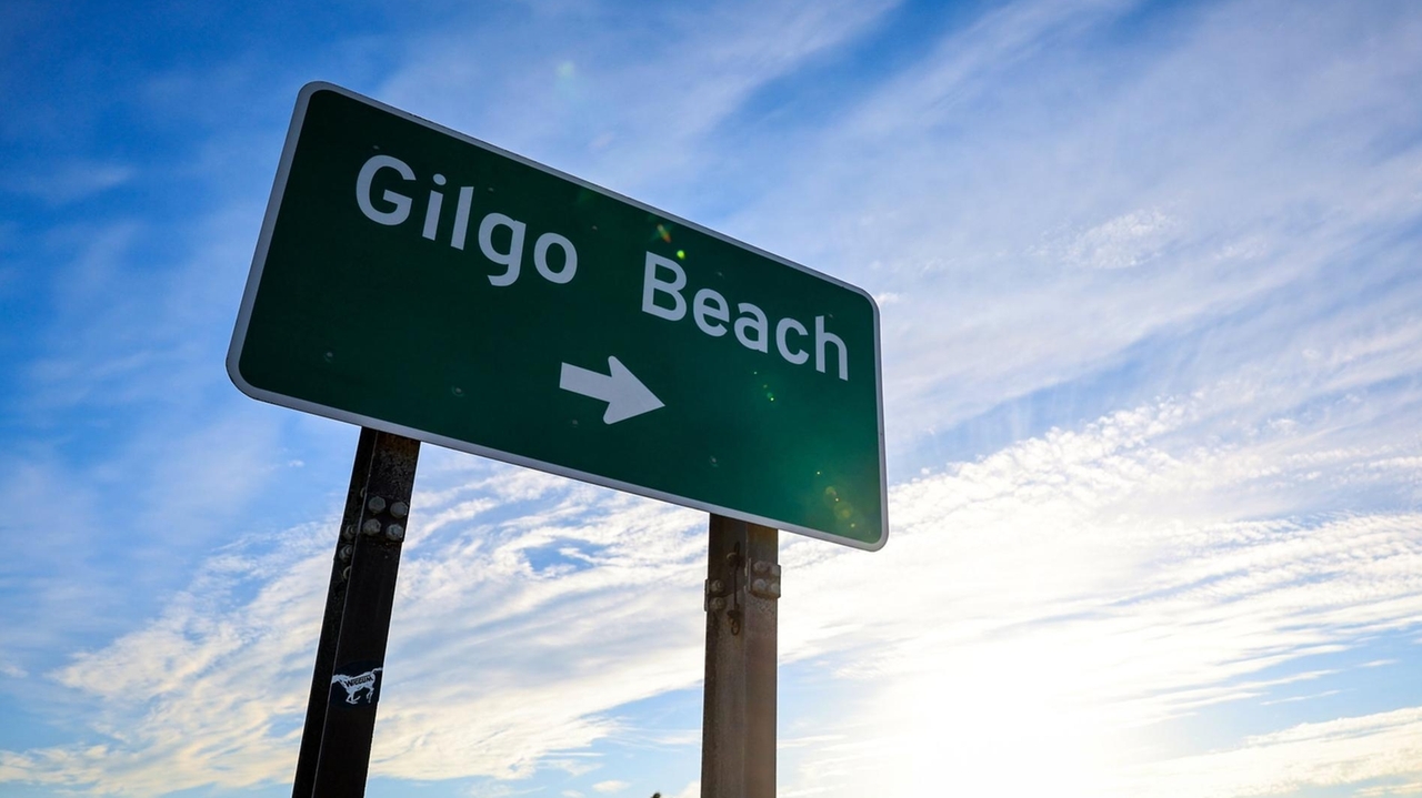 Newsday reviews cold cases from the 1990s. Could the Gilgo Beach serial killer be tied to any of them?