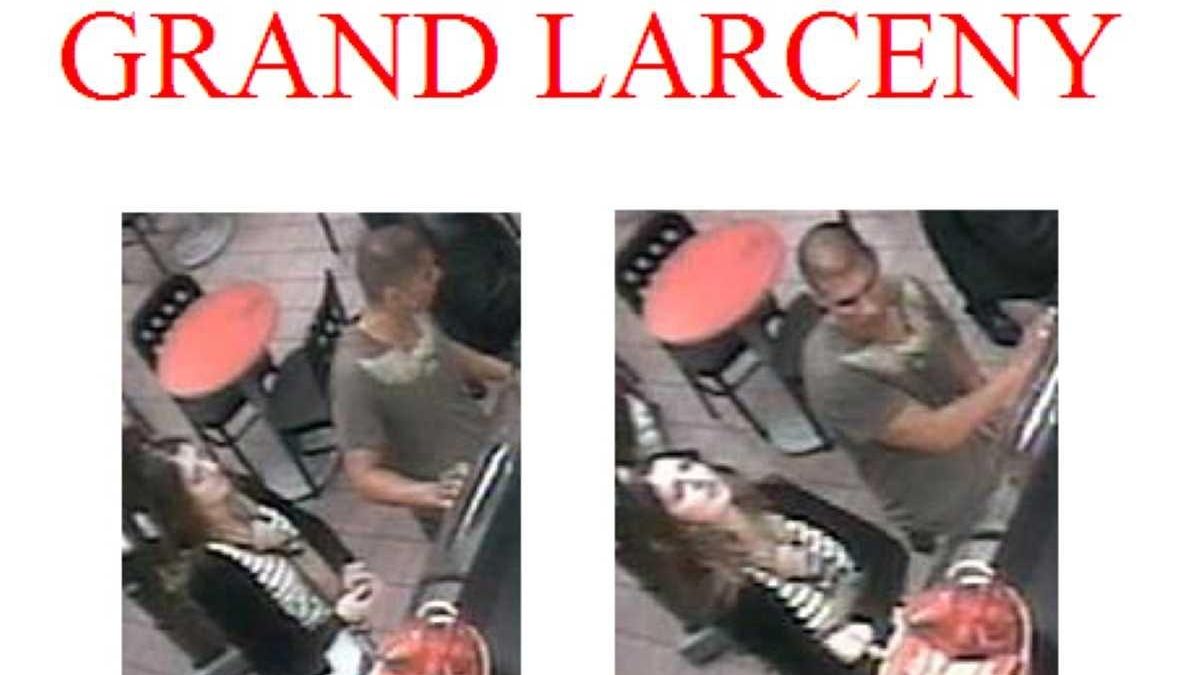 Two sought in theft of iPad, handbag in Manhasset Newsday