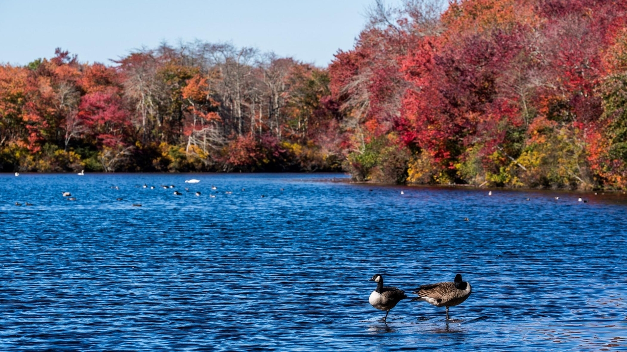 Friday to bring winds, rain and cooler air ahead of the weekend on Long ...