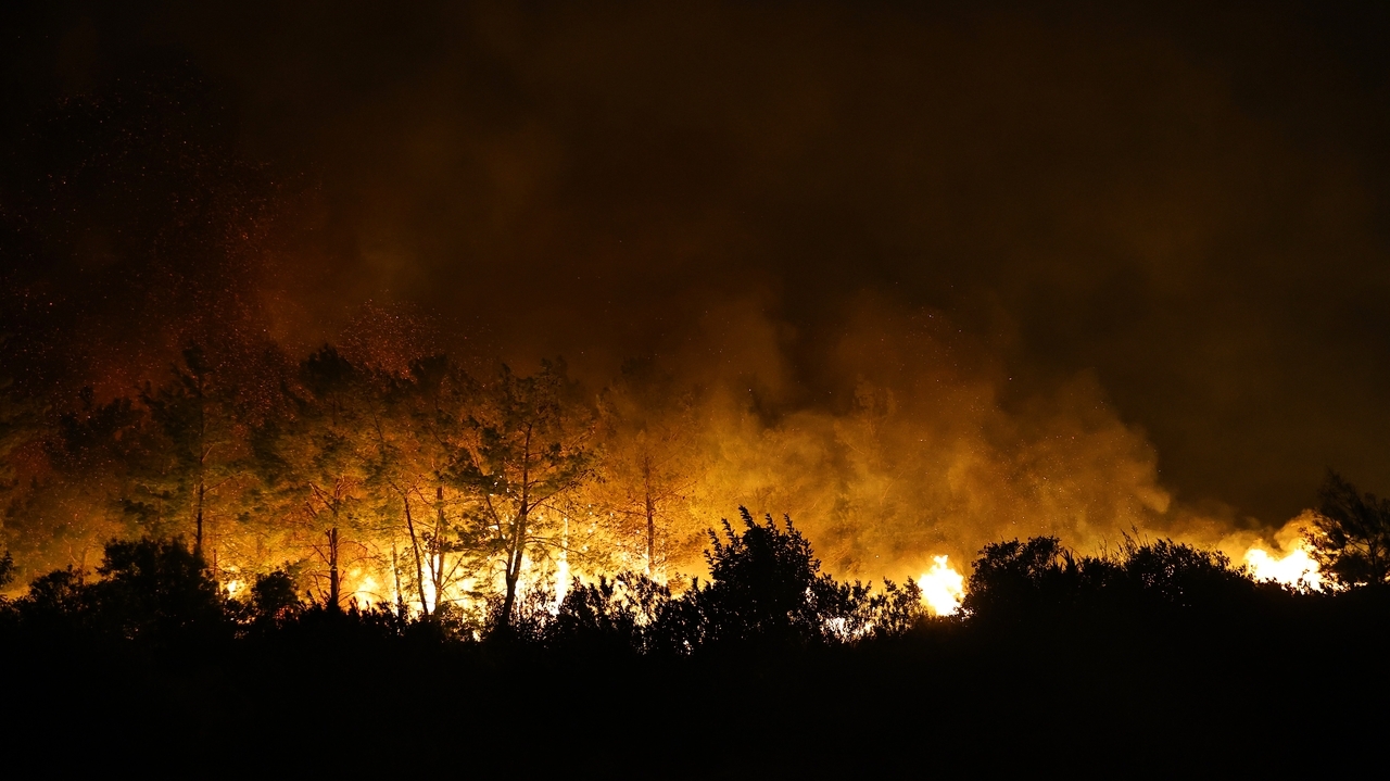 A wind-fueled wildfire forces hundreds from homes in Turkey as firefighters battle flames