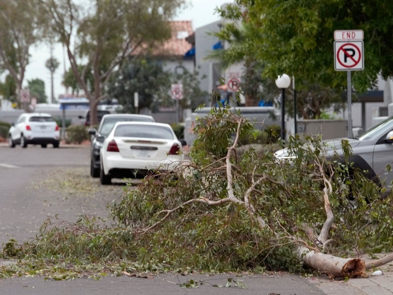 Hail the size of golf balls pummels parts of Arizona as rare storm ...