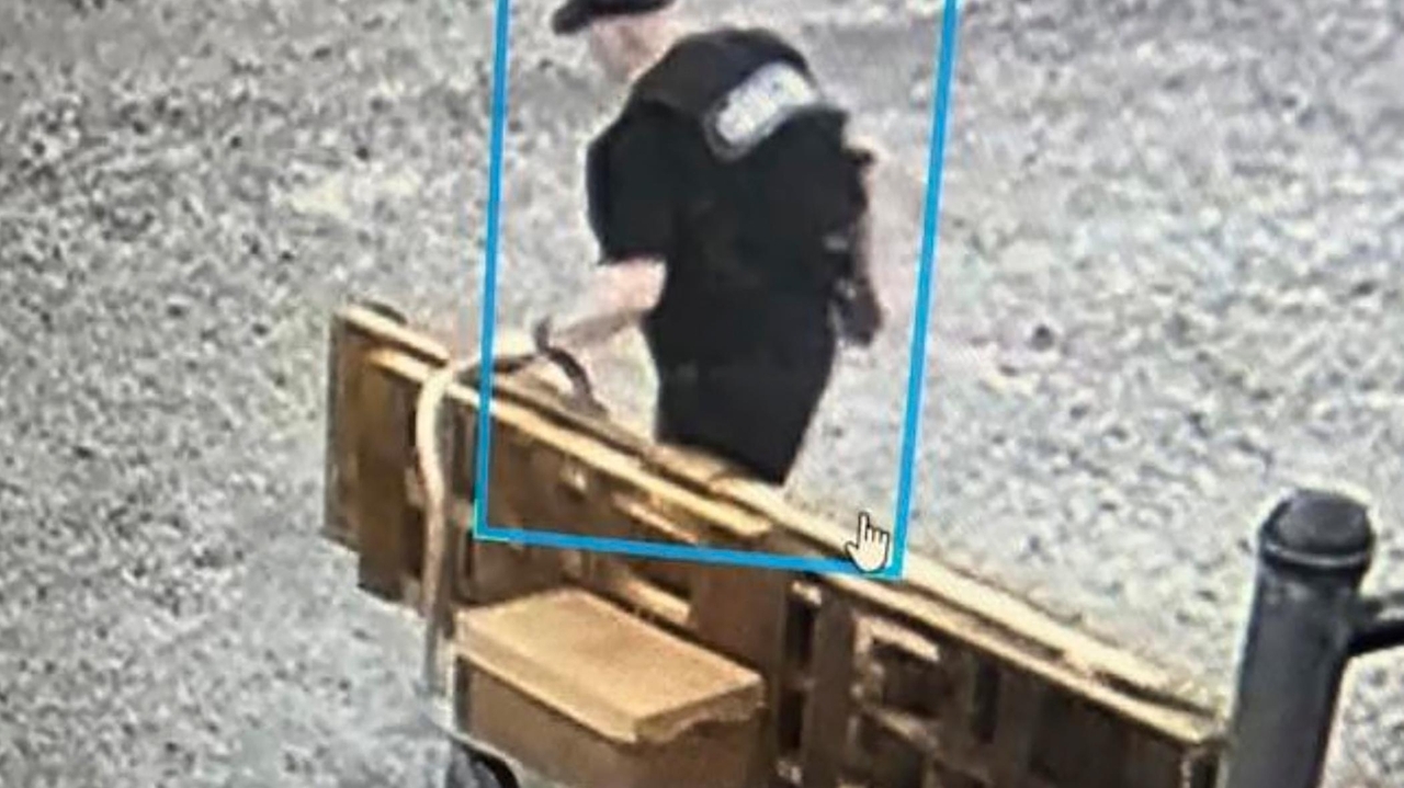 What we know about the escape of a former police chief and convicted ...