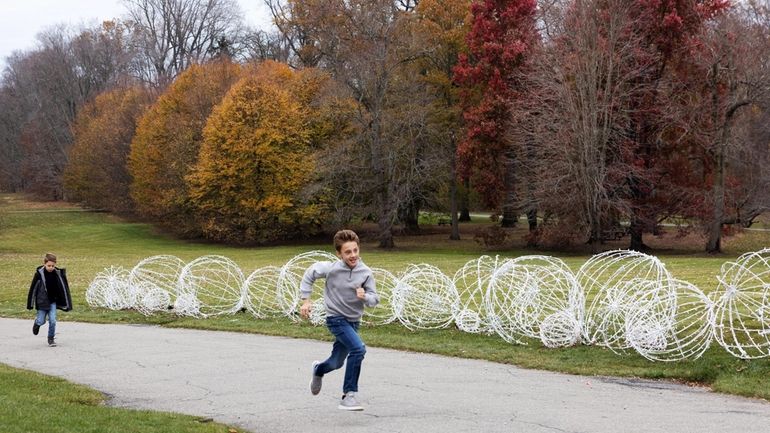 Aiden Miletic of Manhasset, 11, right, and his brother Ethan,...