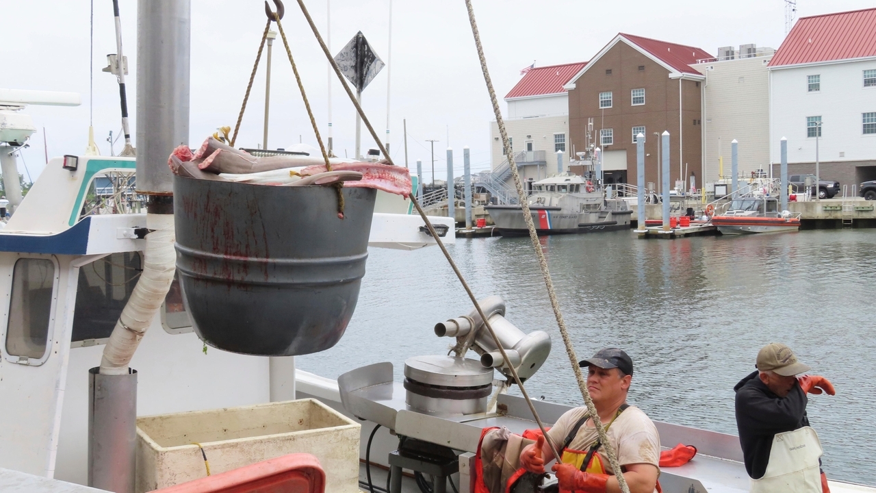 As US East Coast ramps up offshore wind power projects, much remains unknown - Vimarsana News