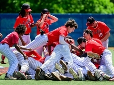 Matt Muzikant's three-hitter helps LuHi baseball win NYSAIS championship