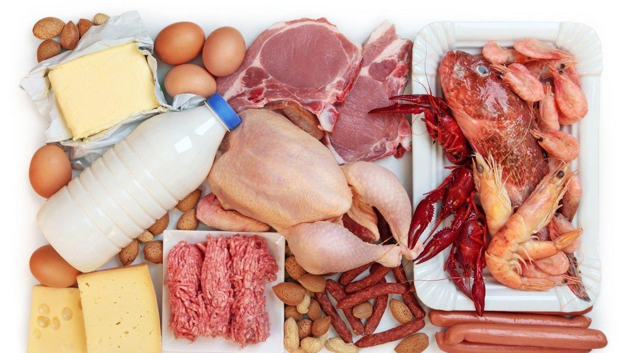 daily-protein-intake-learn-facts-and-myths-about-how-much-you-need