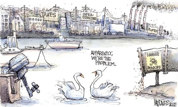 Swan problems