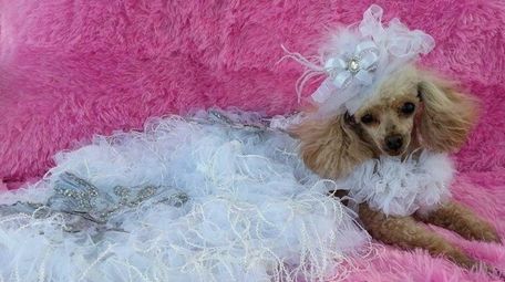 This ruffled, white number, designed by Diva Your