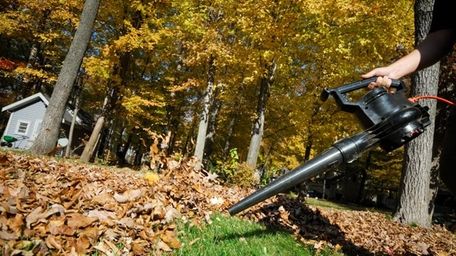 Leaf blower.