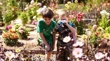 There are many family-friendly hiking trails on Long