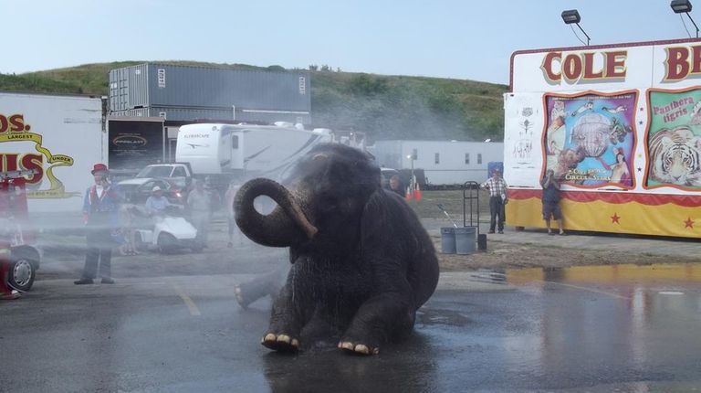 What the Cole Bros. Circus elephants get a