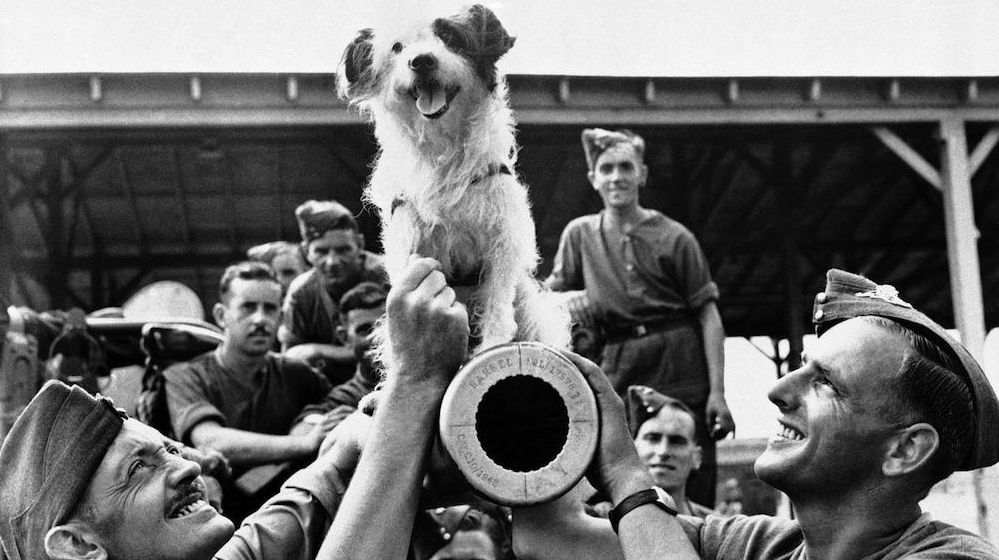 Animal mascots of WWII
