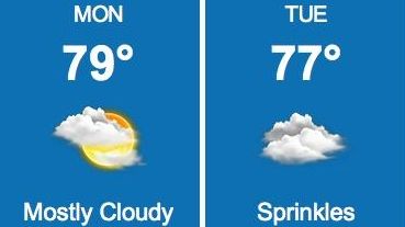 The weather service forecast a daily high of
