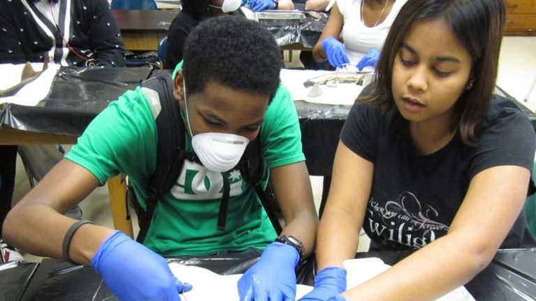 Dissection day in biology class isn't for everyone.