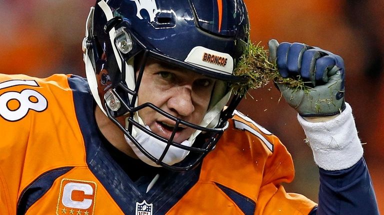 Denver Broncos quarterback Peyton Manning pulls grass