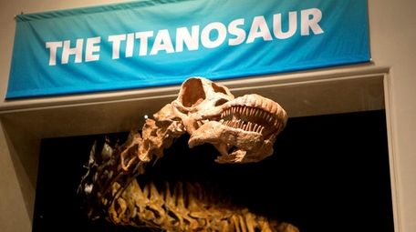 A 122-foot-long Titanosaur cast reveals itself in the