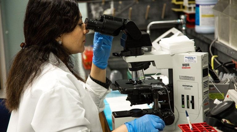 A lab technician looking under a microscope at