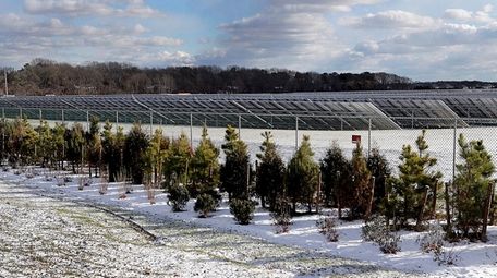 A solar farm located on a portion of