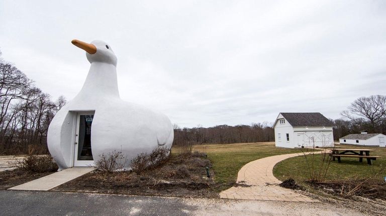 The symbol of Flanders is the Big Duck,