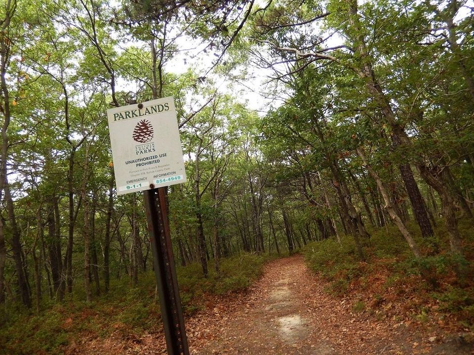 Off County Road 51, Riverhead, 631-854-4949, nwsdy.li/scparks. Season-
