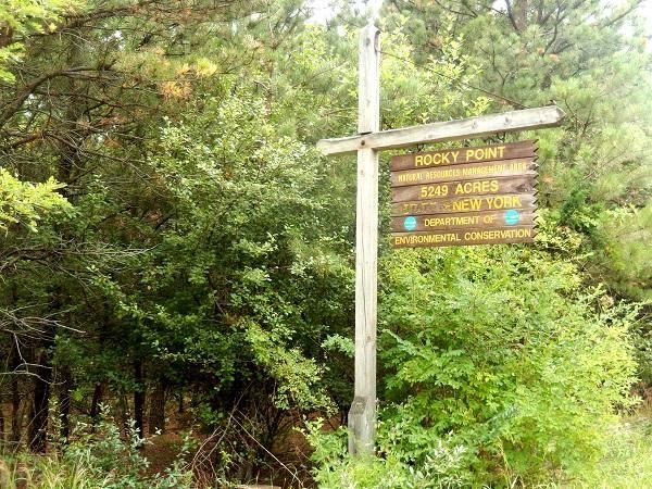 Between Routes 25 and 25A, Rocky Point, 631-444-0270,