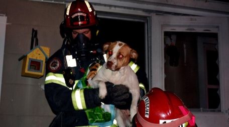Firefighters responding to a basement fire at a