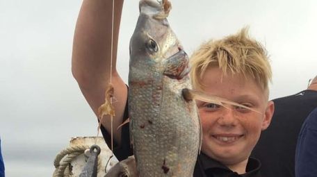 Nick Terry, 11, of Medford, caught 30 porgies