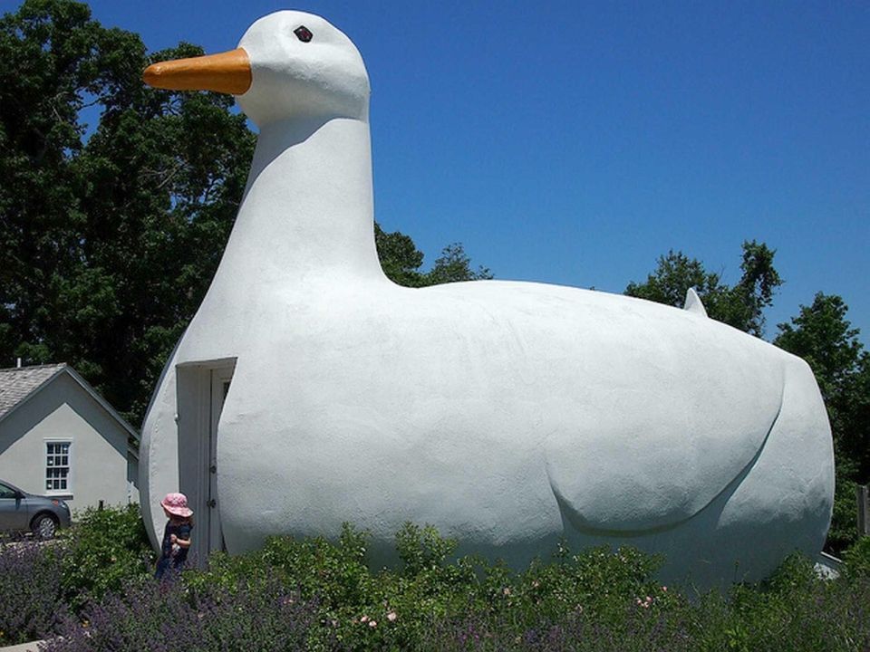The iconic Big Duck in Flanders has wowed