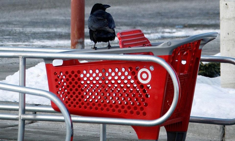 Facts you didn&#039;t know about Target | Newsday