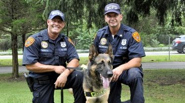 Chase, a German shepherd police dog, was called