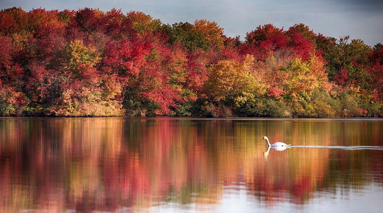 Fall Foliage Report: Near-peak colors on LI this weekend | Newsday