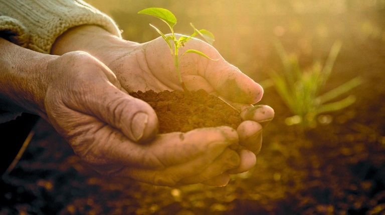 The soil-serotonin connection can help to explain feelings