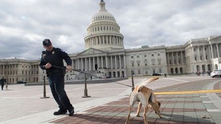 A police officer and his dog patrol as
