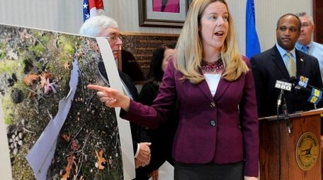Suffolk County legislator Kara Hahn speaks about illegal