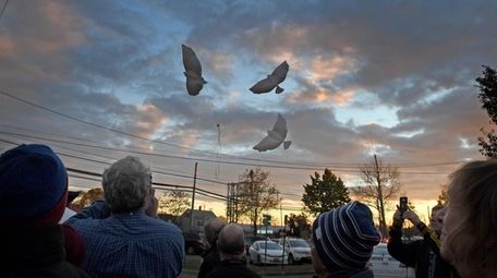 People release balloons shaped like doves.