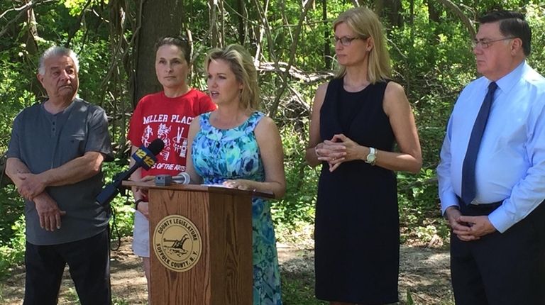 Suffolk County Legis. Sarah Anker speaks at news