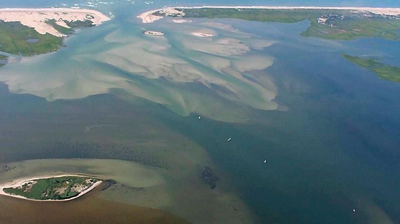 Brown tide in Great South Bay is ‘troubling sign’, expert says | Newsday