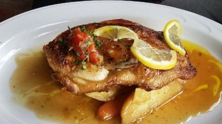 The chicken Limoncello at Limoncello on the Nautical