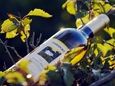 Wine Enthusiast magazine named its 10 Best Wine