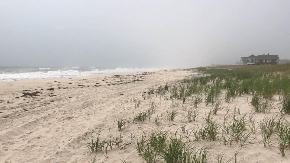 Hot Dog Beach in East Quogue and Sand