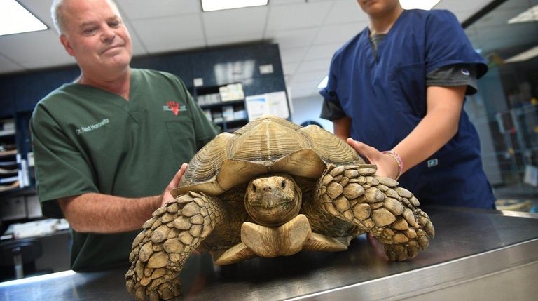Dr. Ned Horowitz, left, and assisant Will Tammaro,