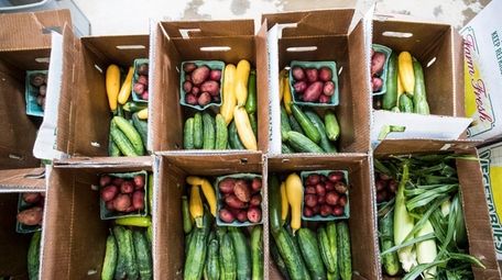 CSA boxes getting packed at Garden of Eve