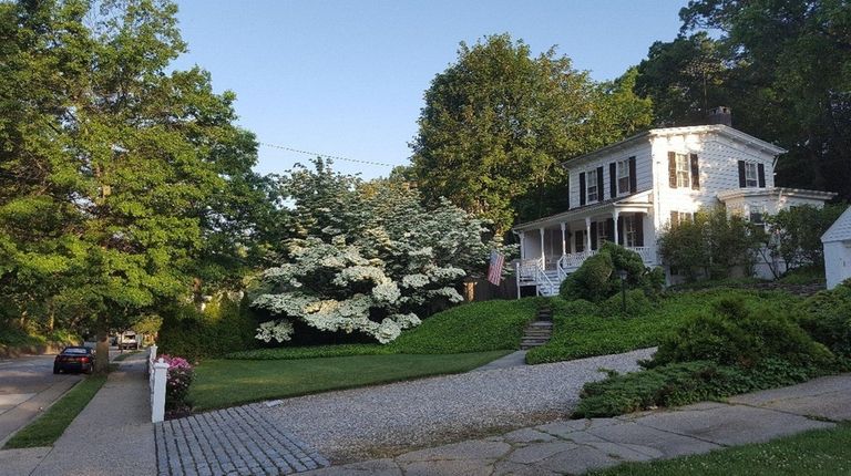 Steps up a gentle hill through manicured foliage