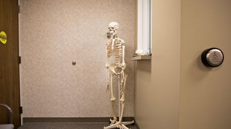 A human skeleton model stands outside a physical