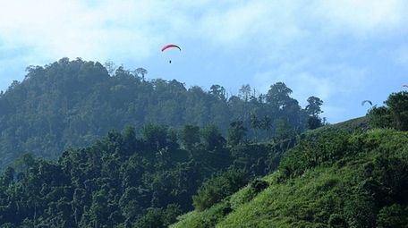 Naruto's habitat: the Indonesian island of Sulawesi.