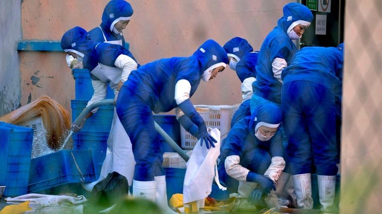 North Korean workers at a seafood processing plant