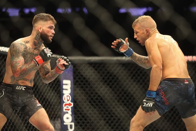 Cody Garbrandt, left, and TJ Dillashaw fight for