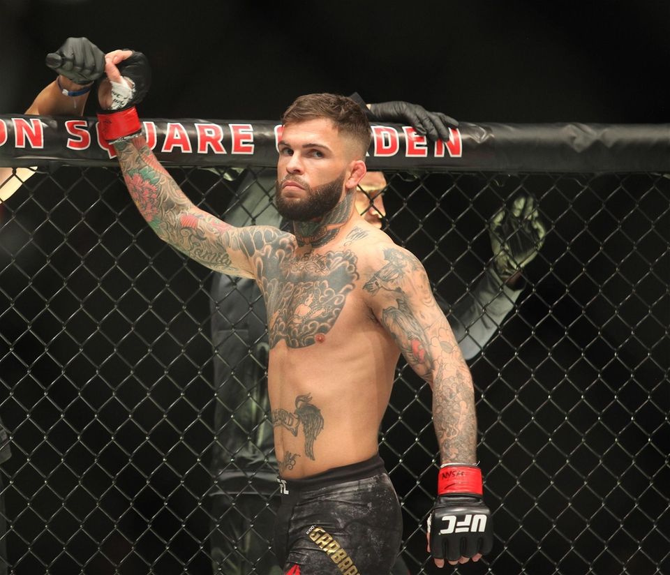 UFC 217: Cody Garbrandt vs. TJ Dillashaw | Newsday