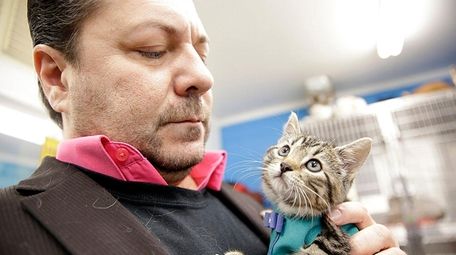 Little Shelter executive director David Ceely with kitten