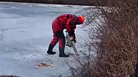 The Suffolk County SPCA used a chain saw